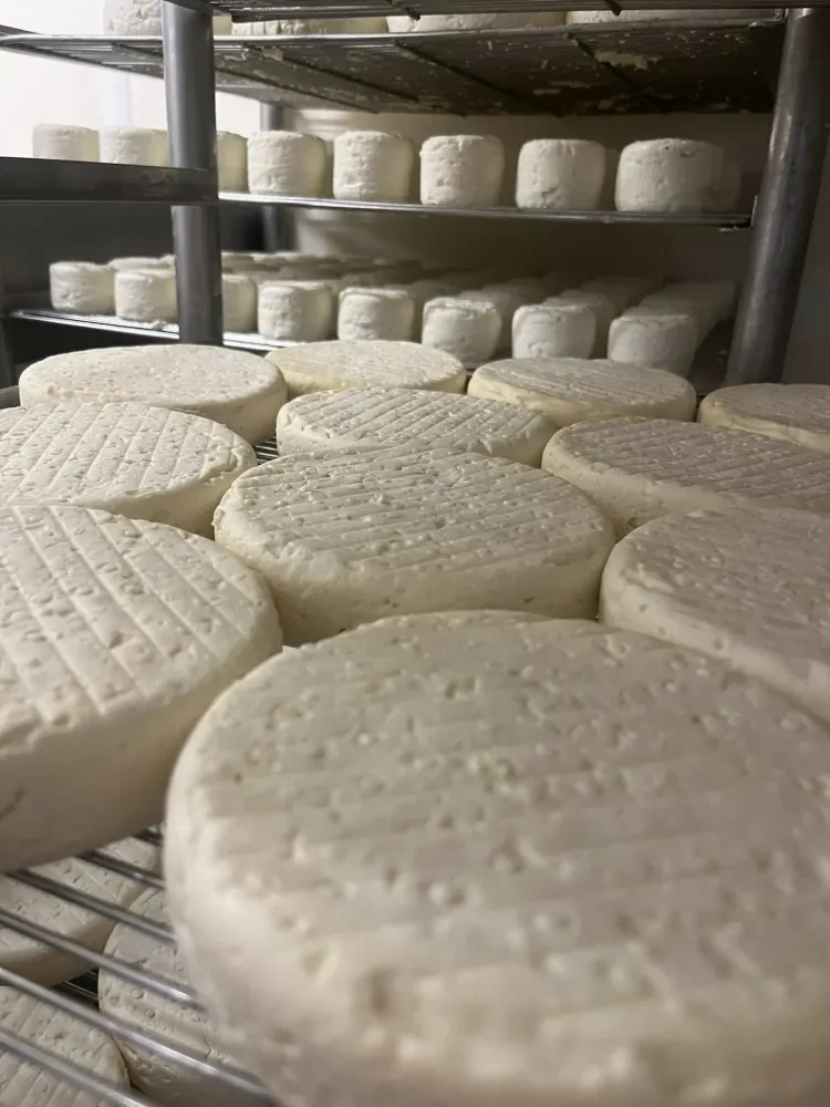 fromage-ferme