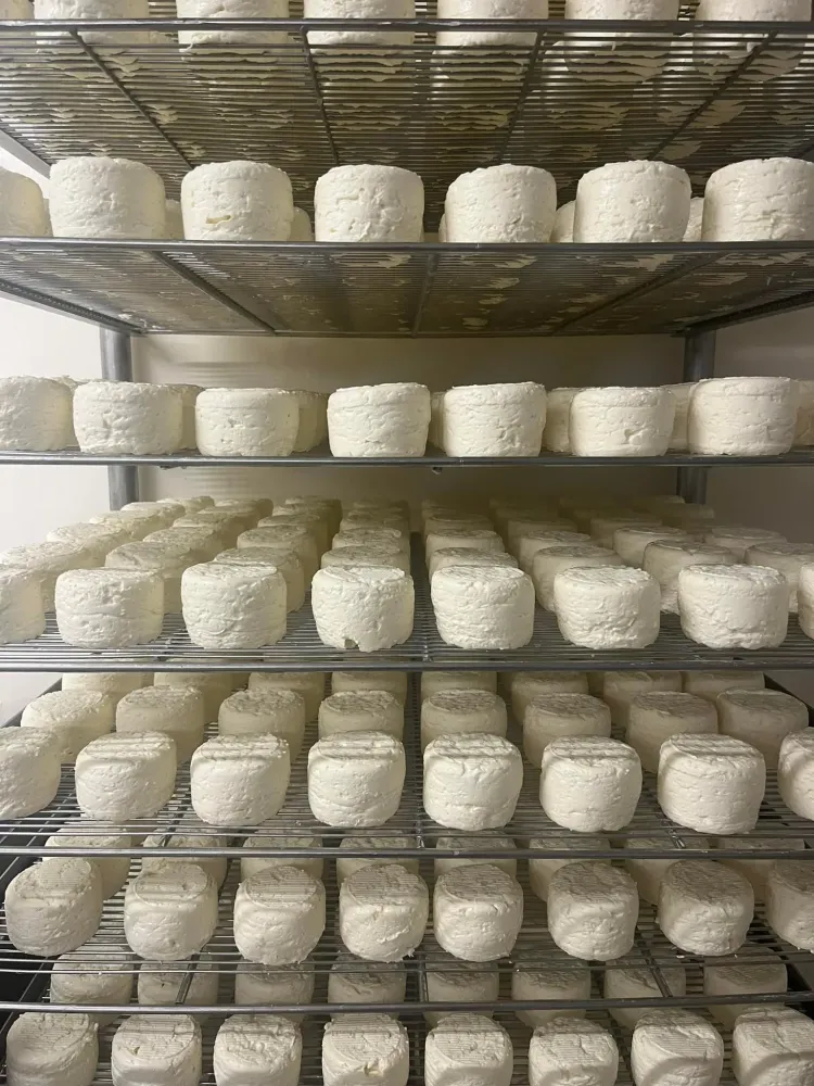 fromage-ferme